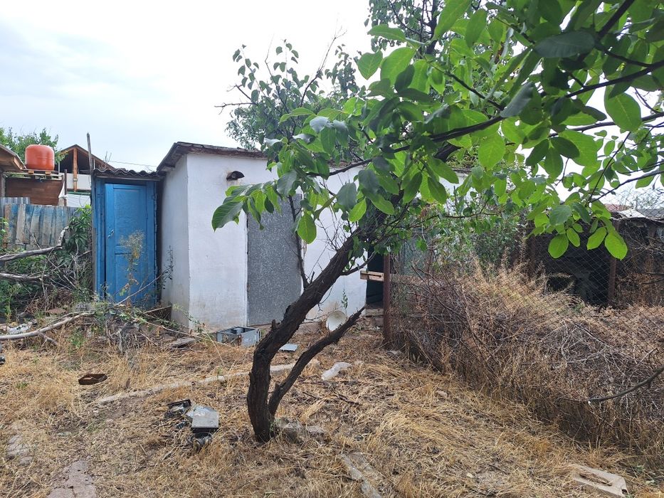 Продам или меняю дачу в Чолдале.