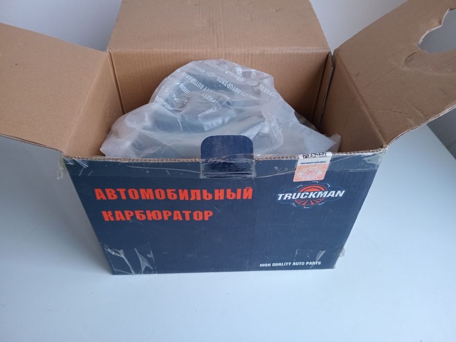 Карбюратор и бензанасос.