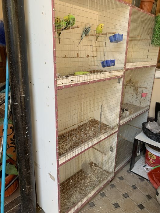 Продвется клетка для птиц