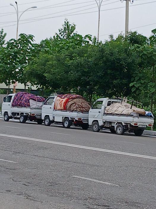 Labo xizmati Namangan