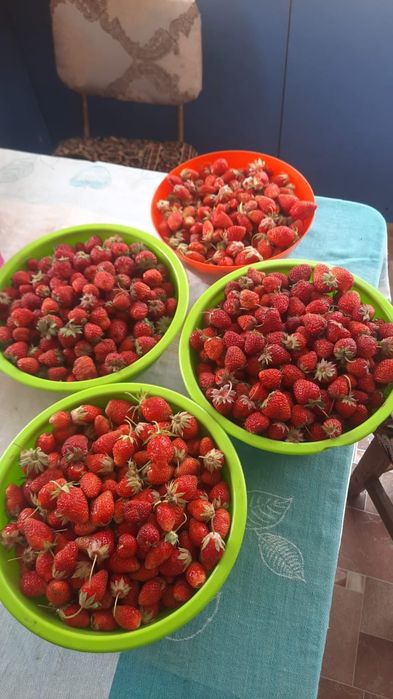 Продам дачу Строителей 1