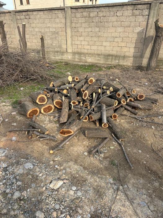 Дрова рубленные карагач готовые