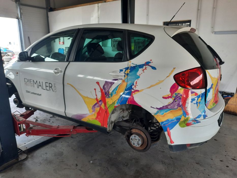 Vand usi, stop, haion Seat Altea
