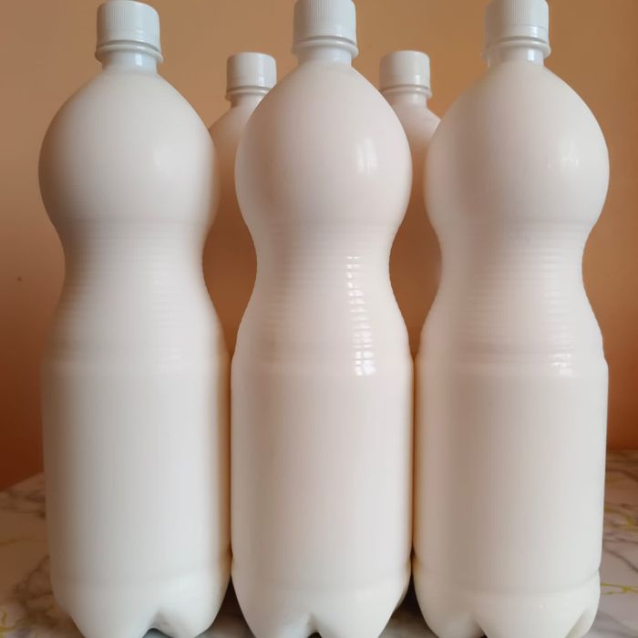 Жапондық порно