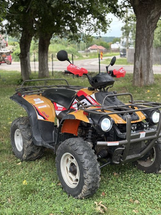 Vand Linhai 300 4x4