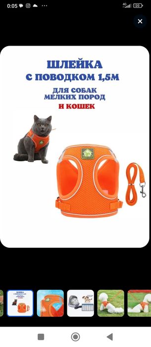Продам шлейку для кошек(собак)