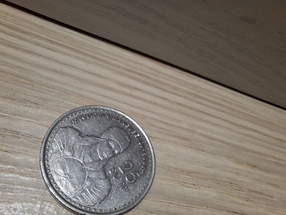 Jaloliddin Mangu Berdi tangasi