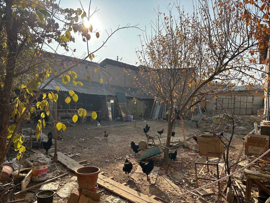 Quruq yer 4,5 сотих