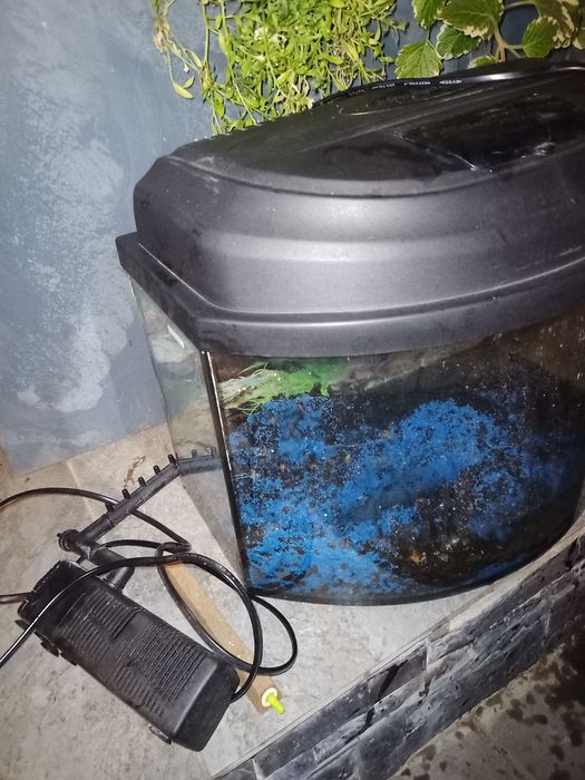 Acvariu din sticla Negru Curb 6W 40x25x25cm