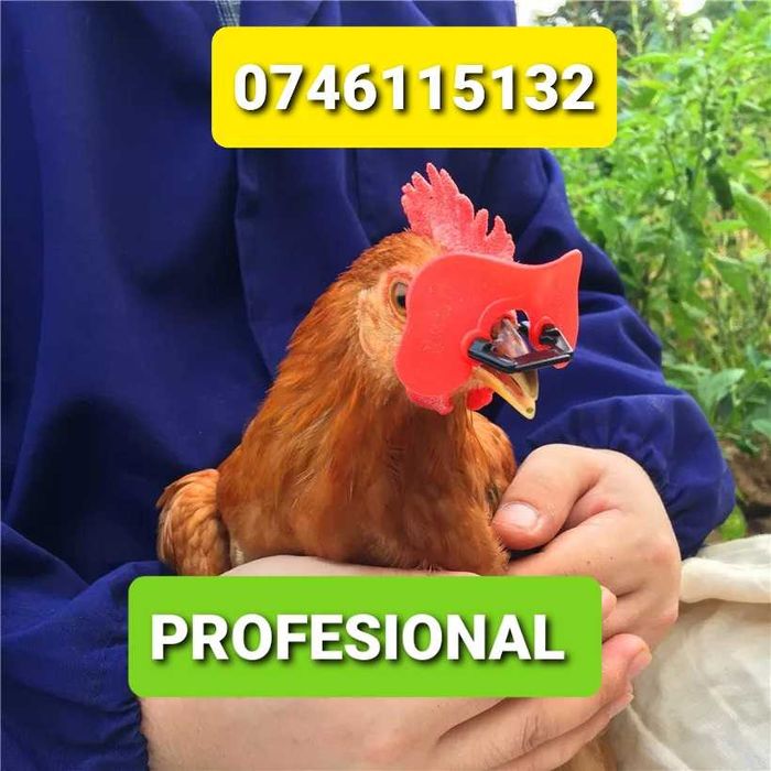 TM-Ochelari FARA STRAPUNGERE NAZALA pt Gaini Fazani Cocosi Pauni Curci