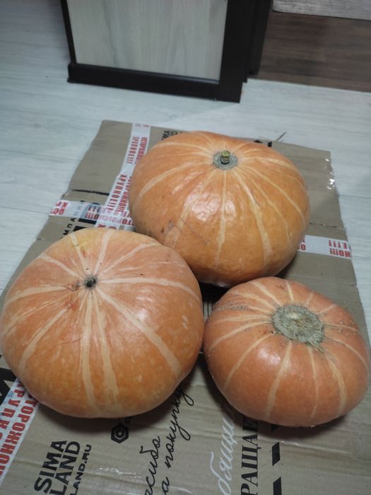 Продаю дачу в Михайловке, 12 соток