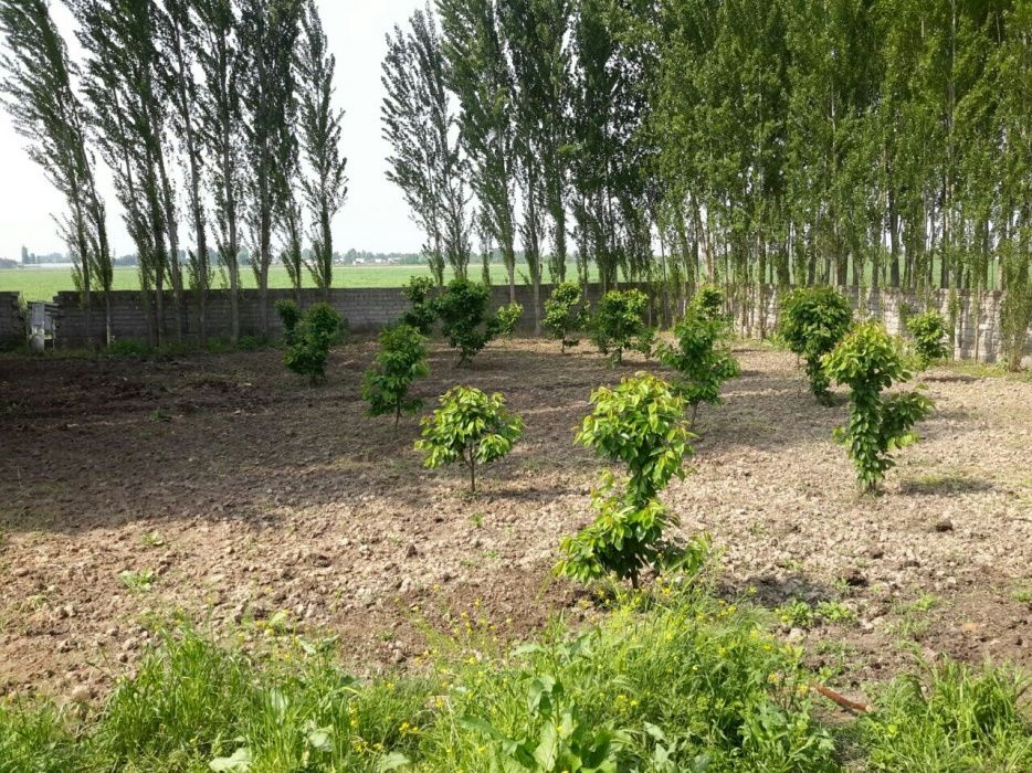 Участок , дом , новый Узбекистан и  новый Ташкент