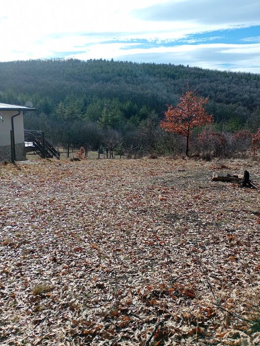 Имот в с.Дреново