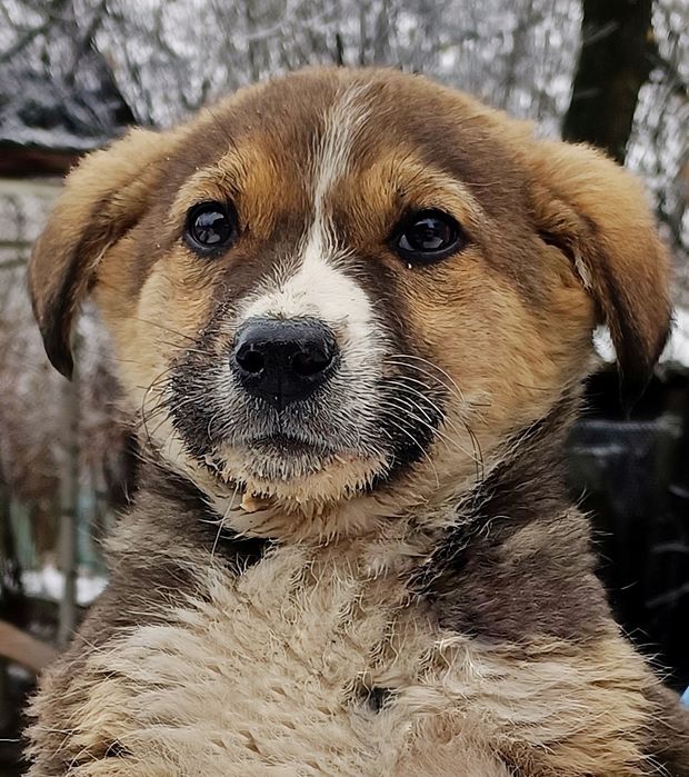 Милый мальчуган.