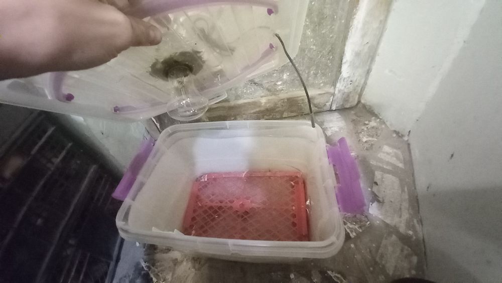 Qo'lbola yasalgan tovuq tuxumi uchun inkubator 25-30 tacha tuxumga