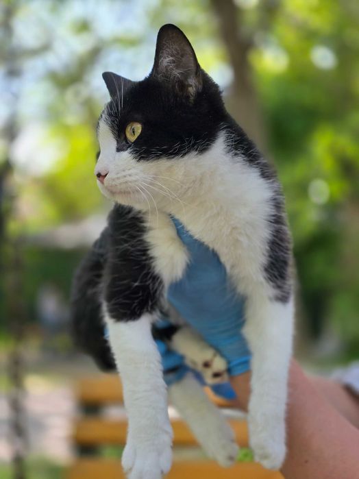 Особенный красавчик Мурзик ищет любящую семью