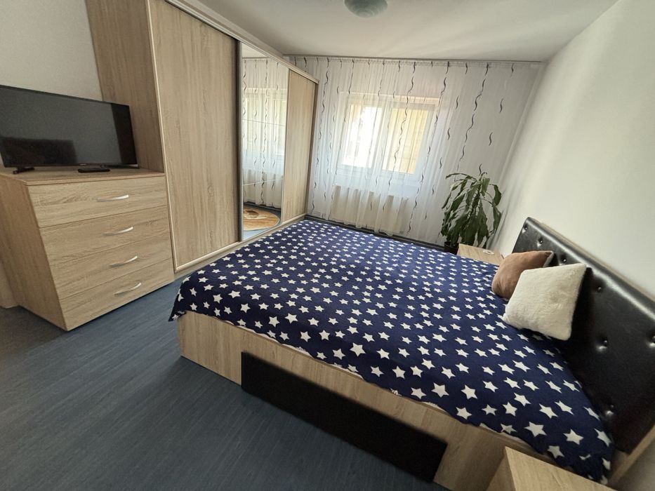 Apartament 3 camere pet friendly