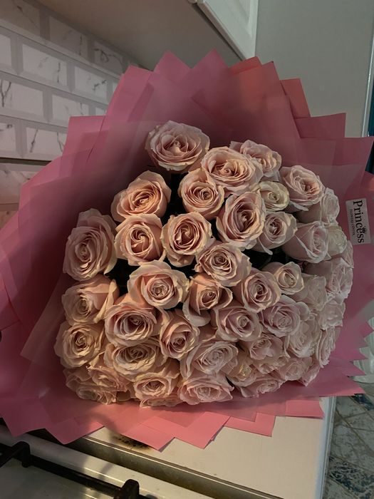 51 роза свежый..