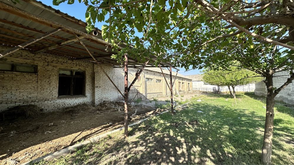 Kunjupayda yer sotiladi, hamma hujjatlari joyida