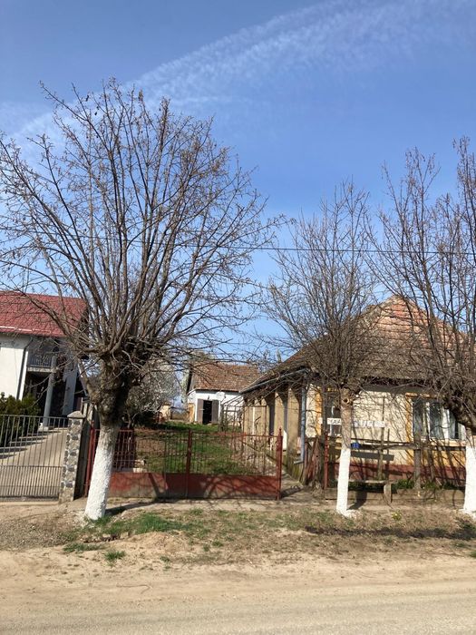 Casa tradițională de vânzare- Săuca, județul Satu Mare