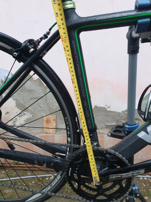 Cursiera carbon.
