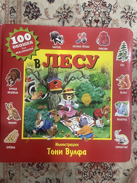 Книжка 100 окошек