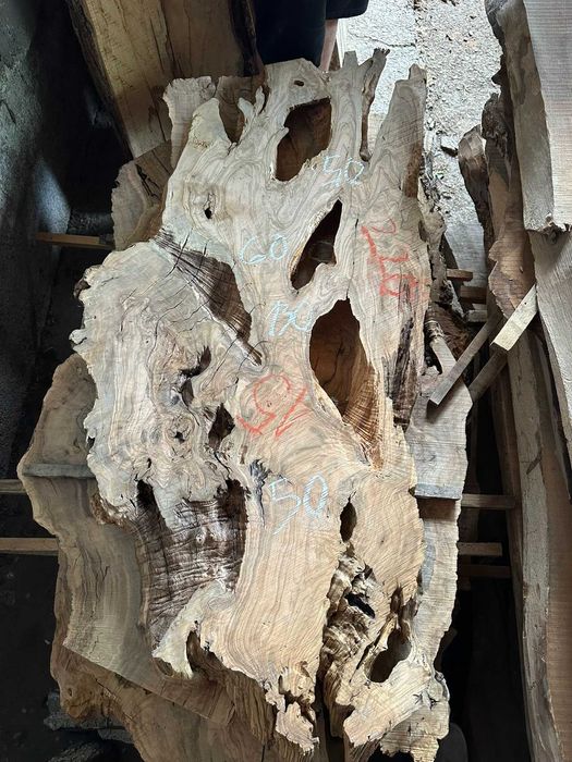 Янове от вековна маслина сухи подходящи за заливане с Епоксидна смола