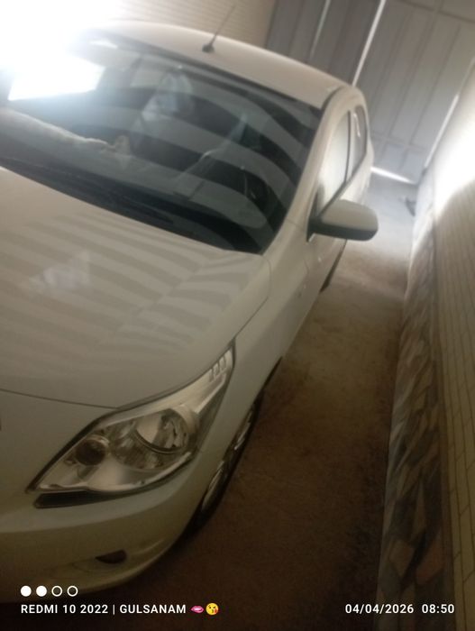 Yangi kobilt sotiladi