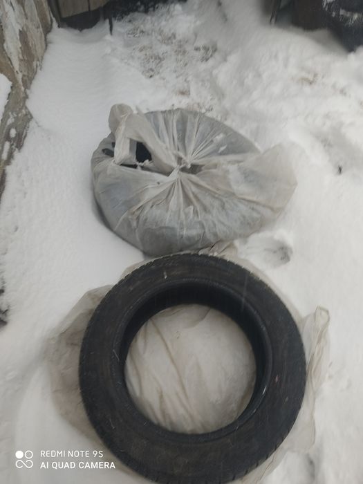 Резина зимняя Triangle