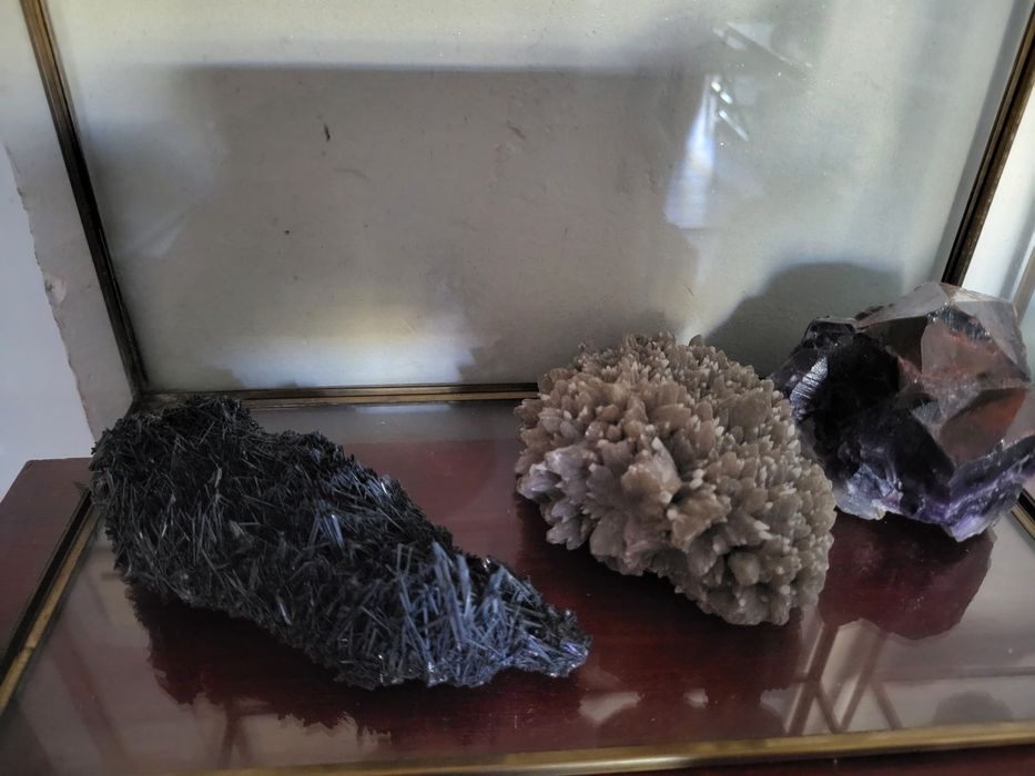 Flori de mina deosebite