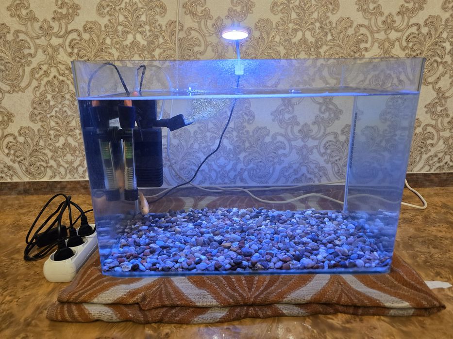 Аквариум с рыбками