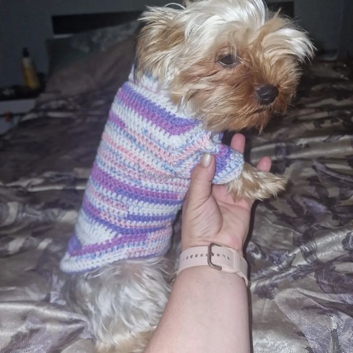 Свитерки для собак своими руками