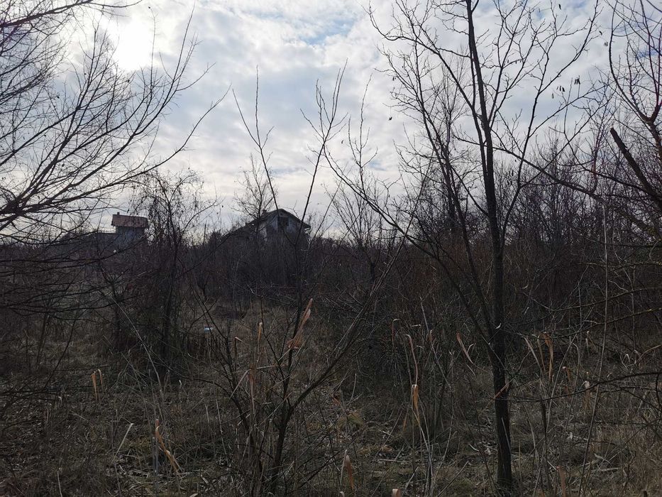 Продава се Земеделски имот в Лом -  кв.м за 2805 €/дка - Снимка #18