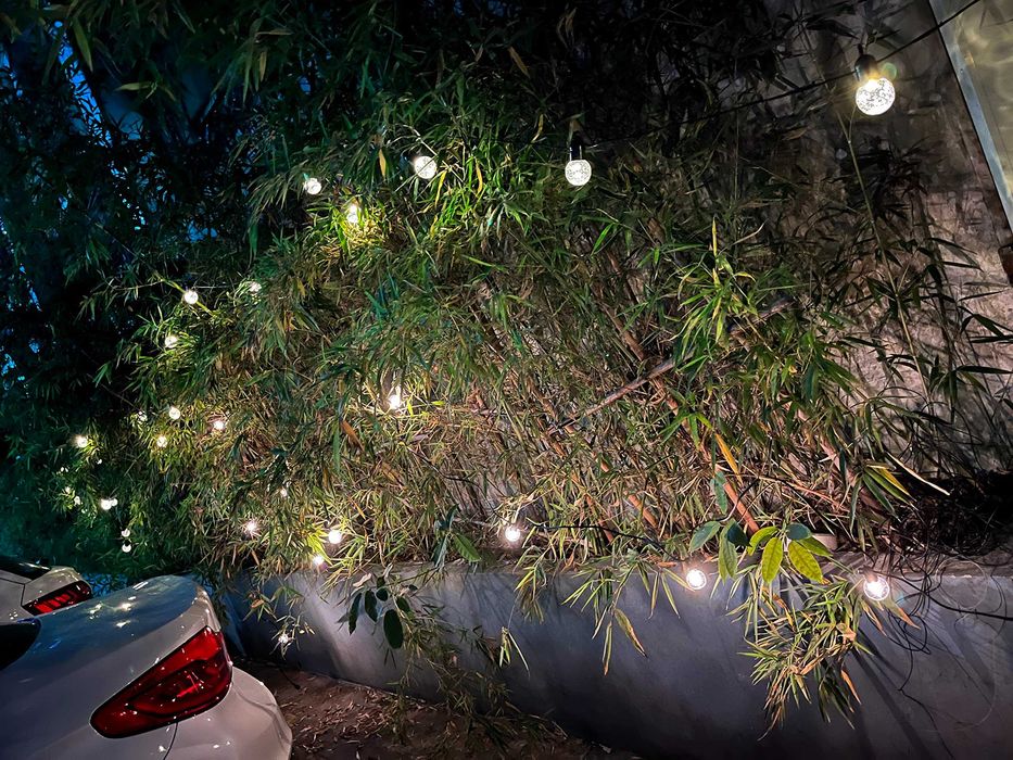 Lumini  de Exterior cu Ghirlandă, 25 Becuri G40 15,5 m