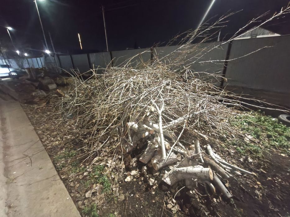 Отдам даром дрова