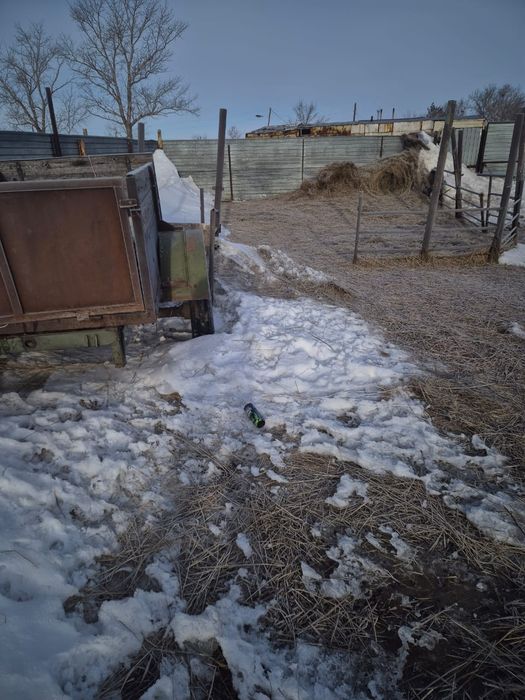 Продам трактор т25