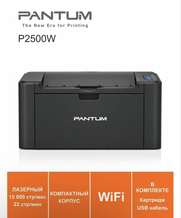 Принтер Пантум Р2500