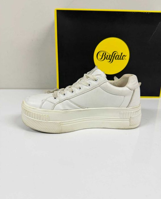 Buffalo Paired Butterfly