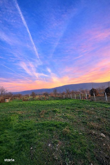 Teren 4.443 mp intravilan + extravilan N.Bălcescu,Pleșoiu, jud. Valcea