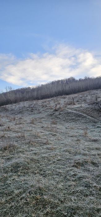 Vand teren intravilan /livada 4976m Valea Sasului