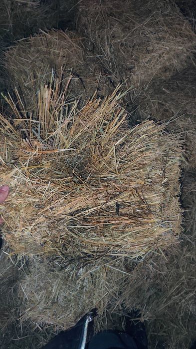 Vând baloți de fân