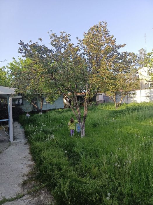 Назарбекда 6 соток ер СРОЧНО СОТИЛАДИ.