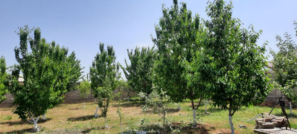Продается участок, Барданкуль, 10 соток