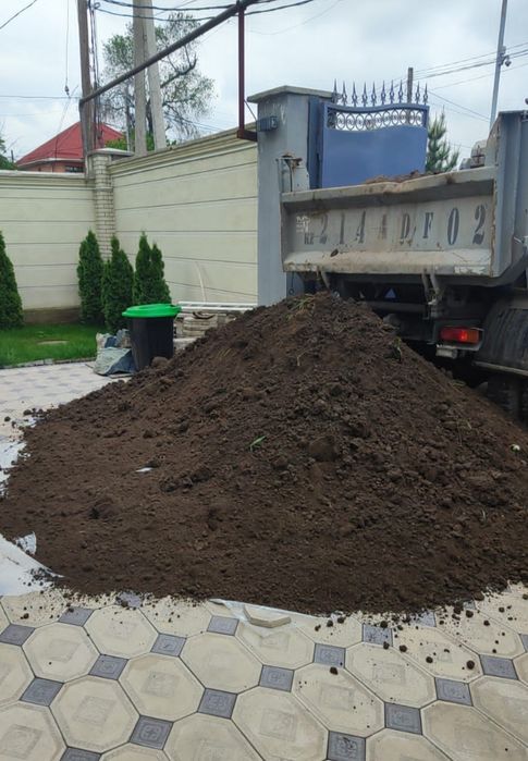 Чернозём рыхлый горный