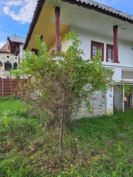 Bijuterie arhitecturala care datează din secolul XIX