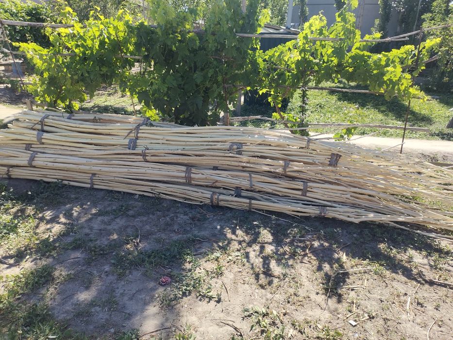 Qadalar satiladi  6000 swm shtukka iri mayda aralas.