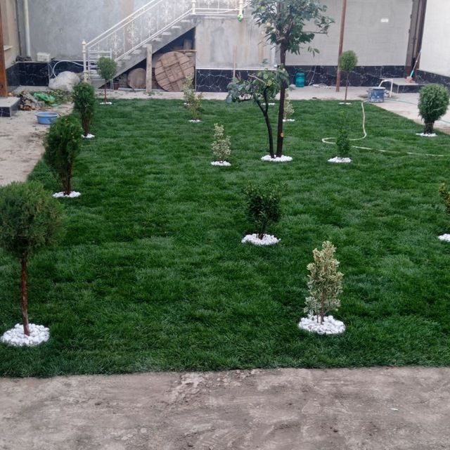 Gazon landshaft dizayni xizmatlari archa stirichka qilish
