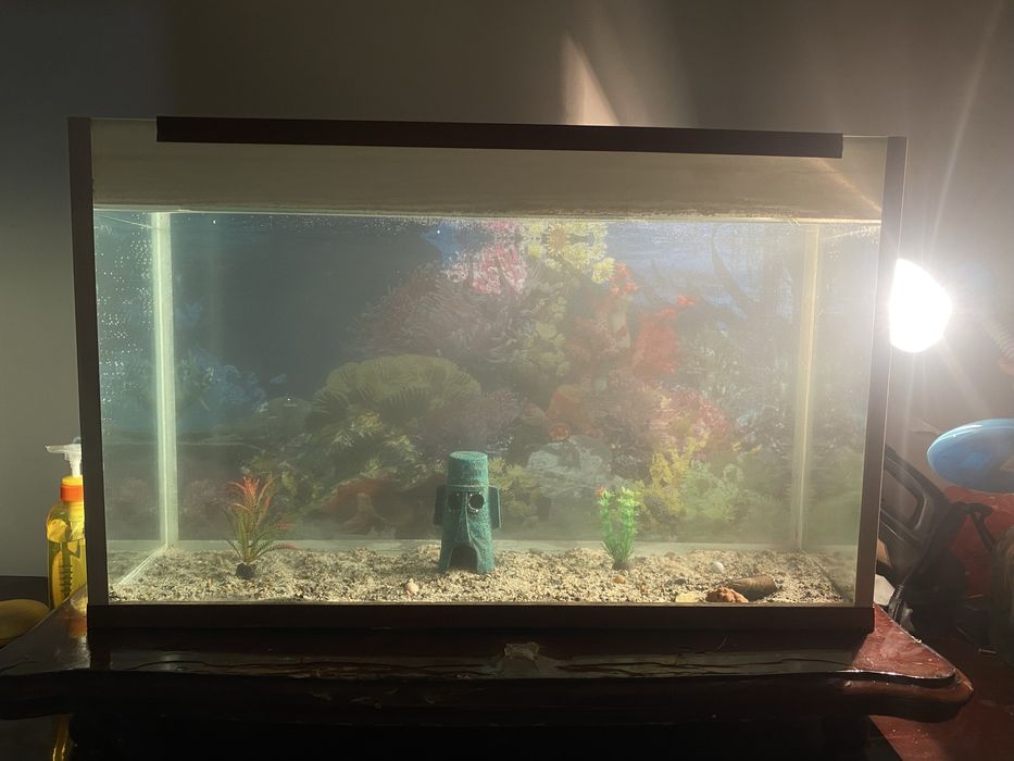 Аквариум с рыбками срочноо