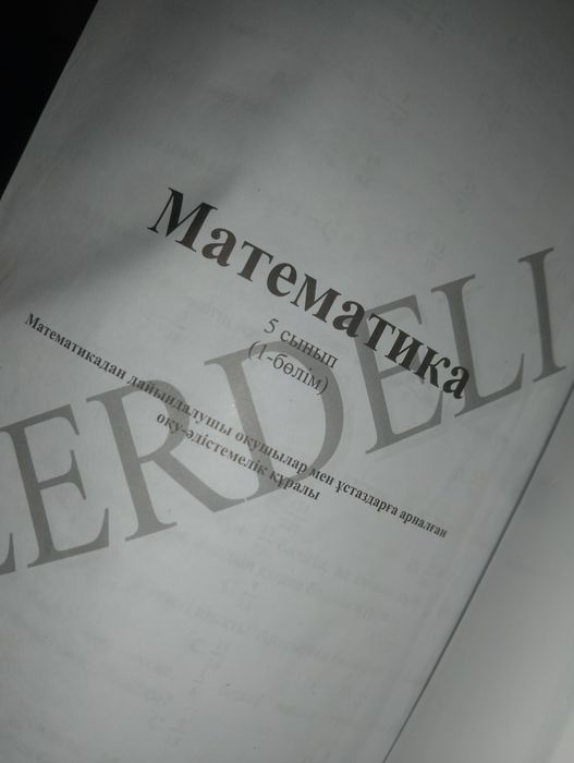 НЗМ НИШ дайындық