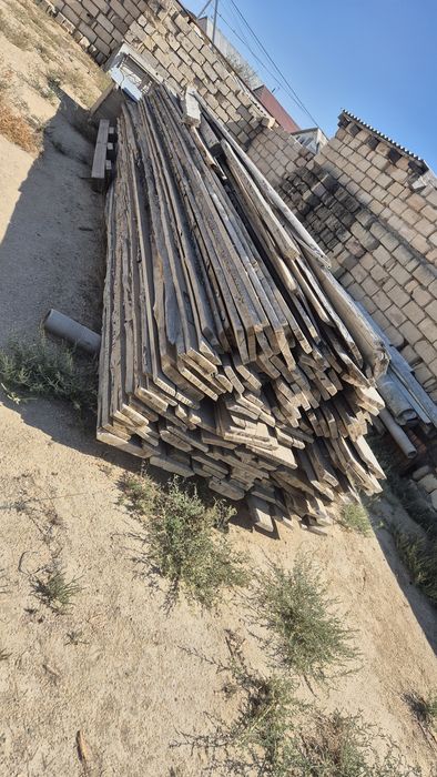 Кесілмеген ағаштар